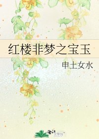 红楼非梦之宝玉